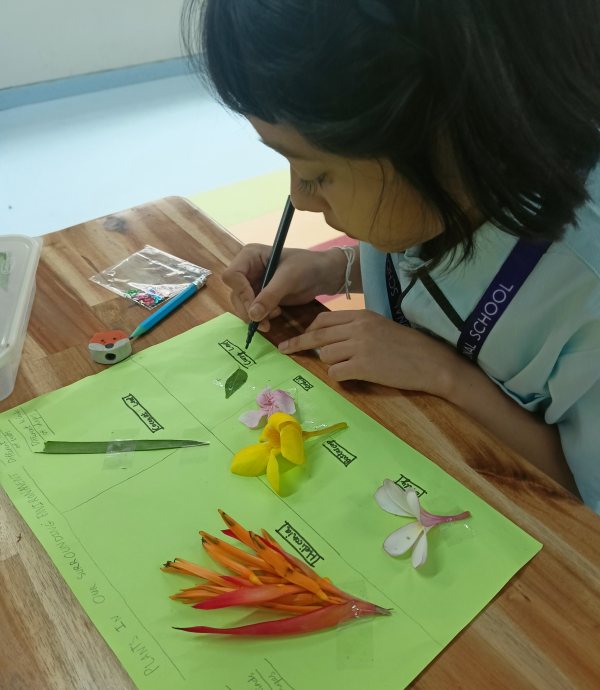Primary Years (ICSE)
